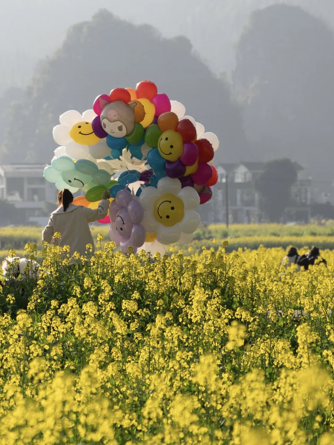 全国最早油菜花🌼，万峰林你要不要来