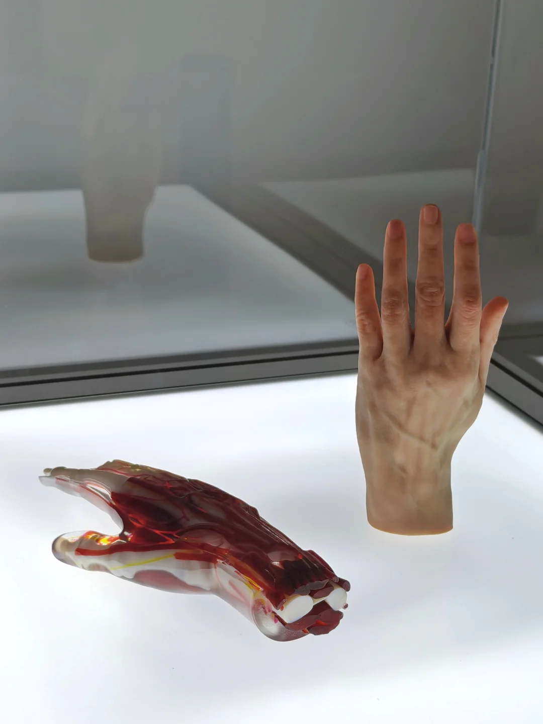 在医学与艺术的交汇处，重绘身体的星图