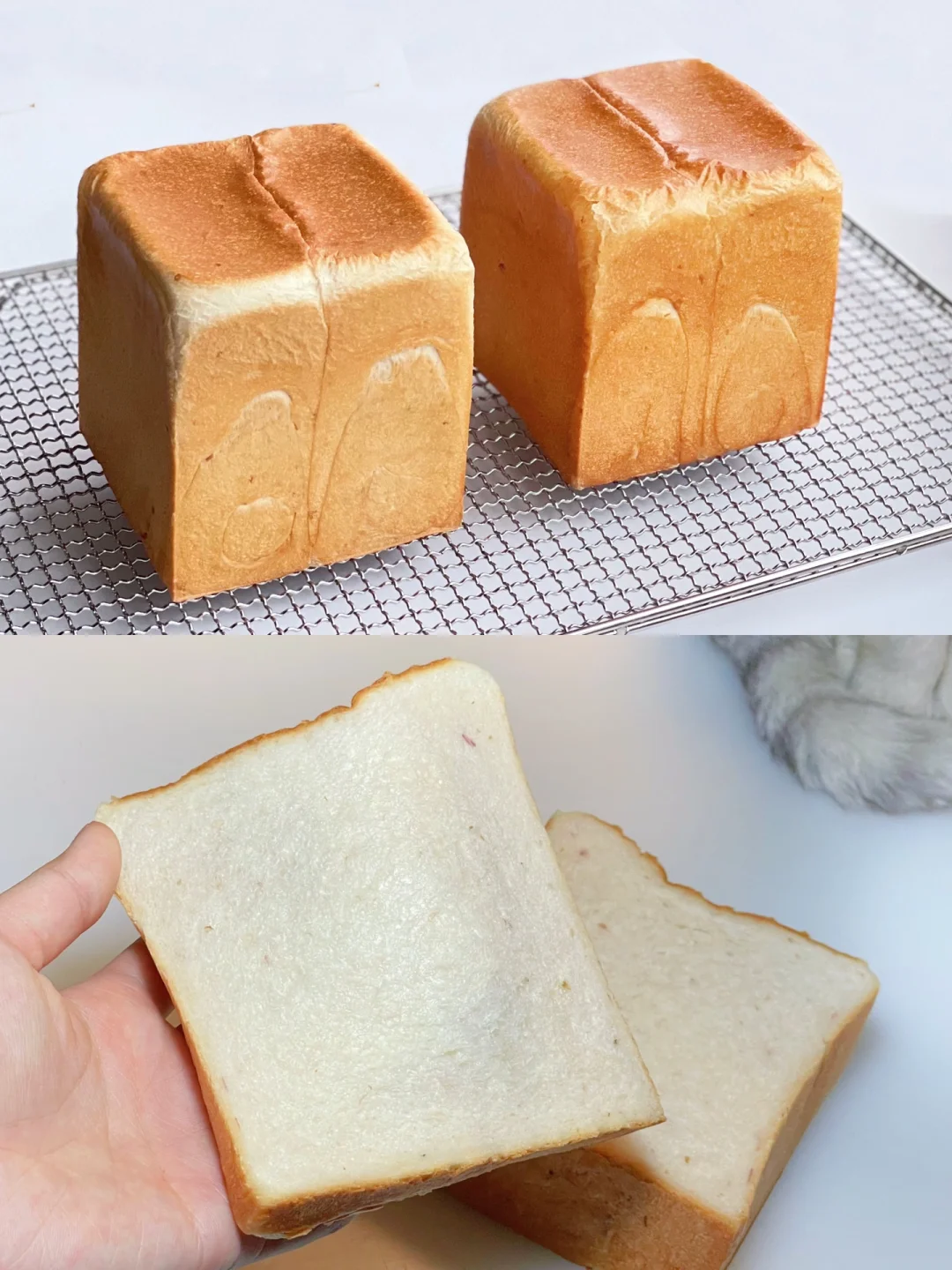 玫瑰奶油北海道吐司｜芬芳馥郁｜棉花般柔软