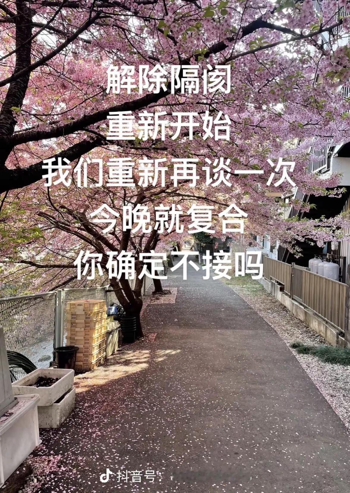 我们再爱一次。