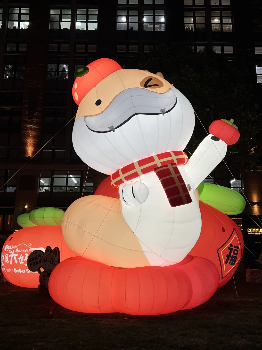 上海坠可爱的🐍出现了‼️小狗蛇点点🐕