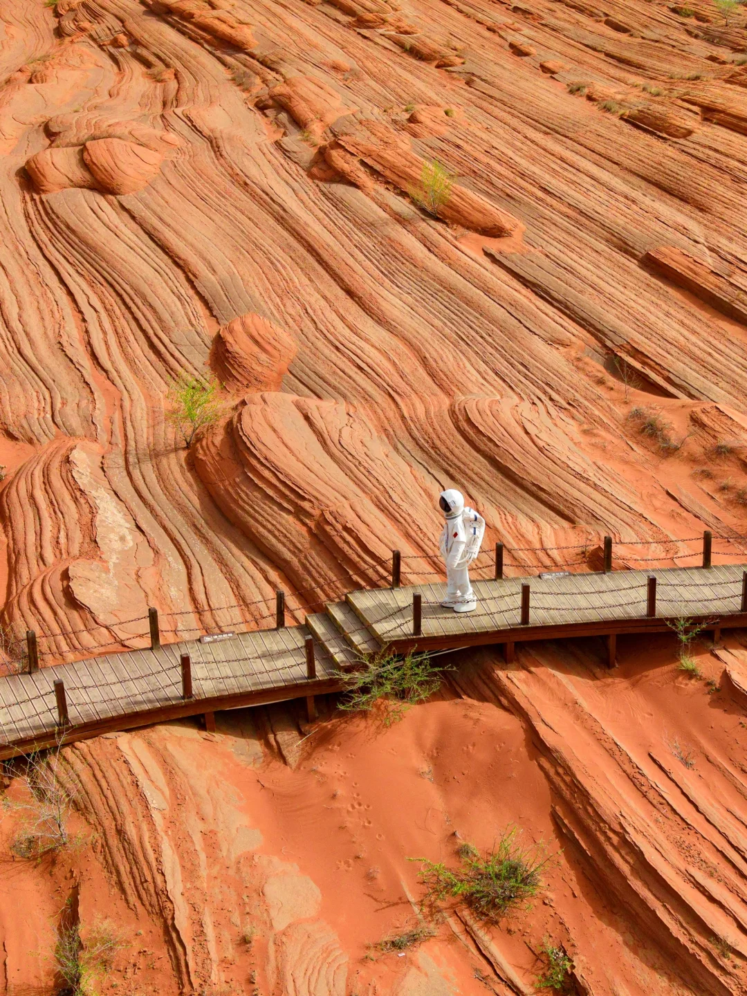 陕西‼你不宣传这个地方‼你糊涂啊😭😭