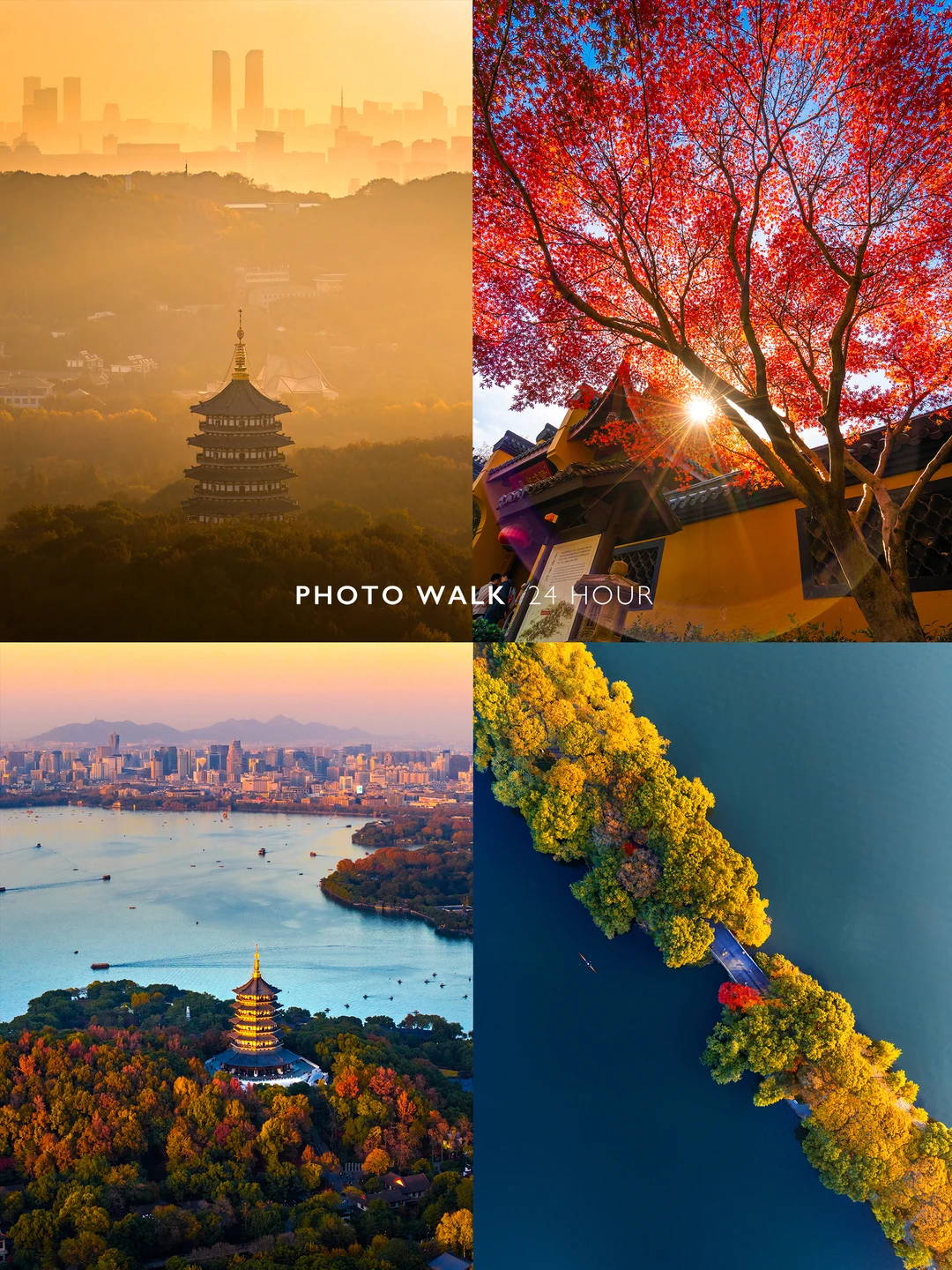 实拍！杭州秋色避坑指南