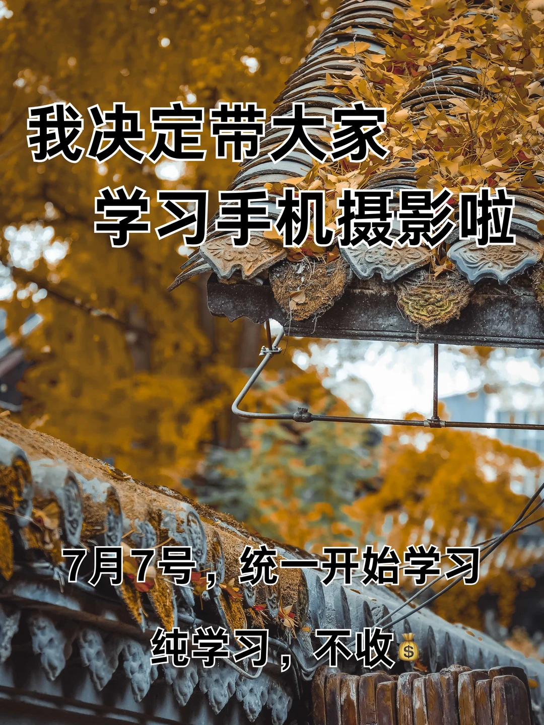 我决定带大家学习手机摄影啦！！
