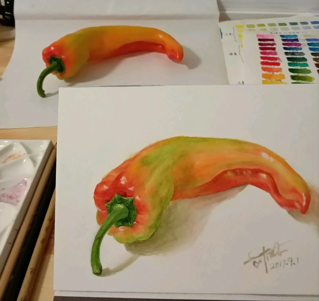 水彩辣椒。超市里找到一只漂亮的辣椒。