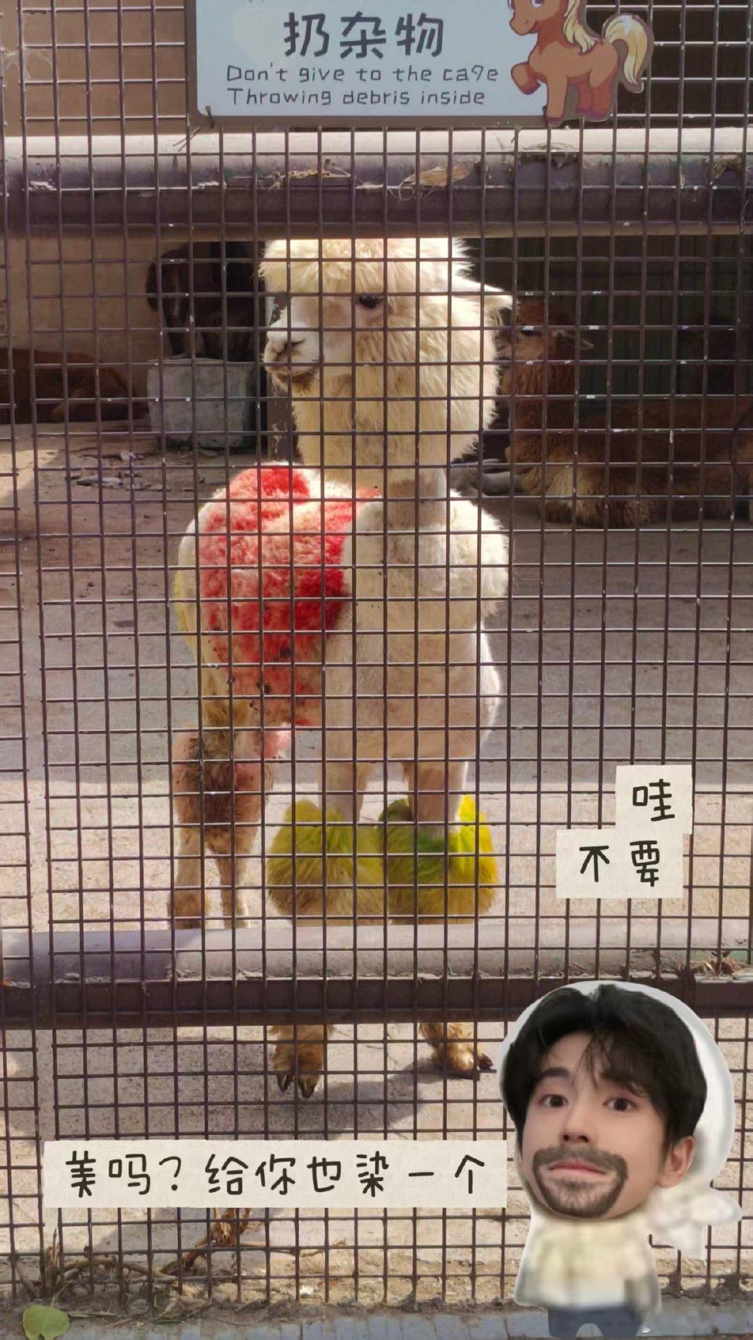 #张凌赫[超话]# 今天和这个小赫赫出来玩 ​