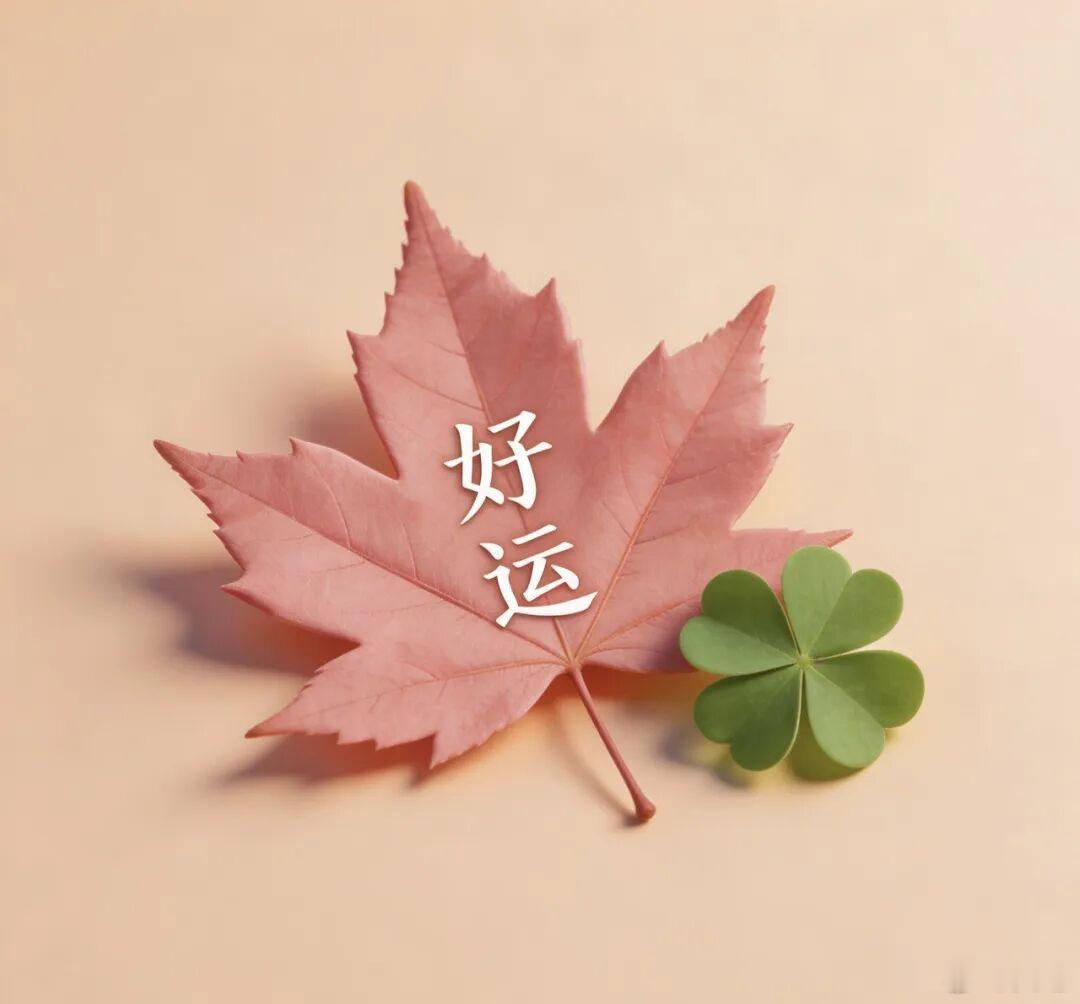 这几天玩疯了[坏笑]一直没有看信息，所以要补课，中东很要命[晕]俄乌打的不可开交，现在无人机互炸都是五千架，上万架疯狂啊，法国大乱，我们要有忧患意识，好像越来越近了，我先补课，明天写个帖子就着[心][心][打call][打call][打call] ​