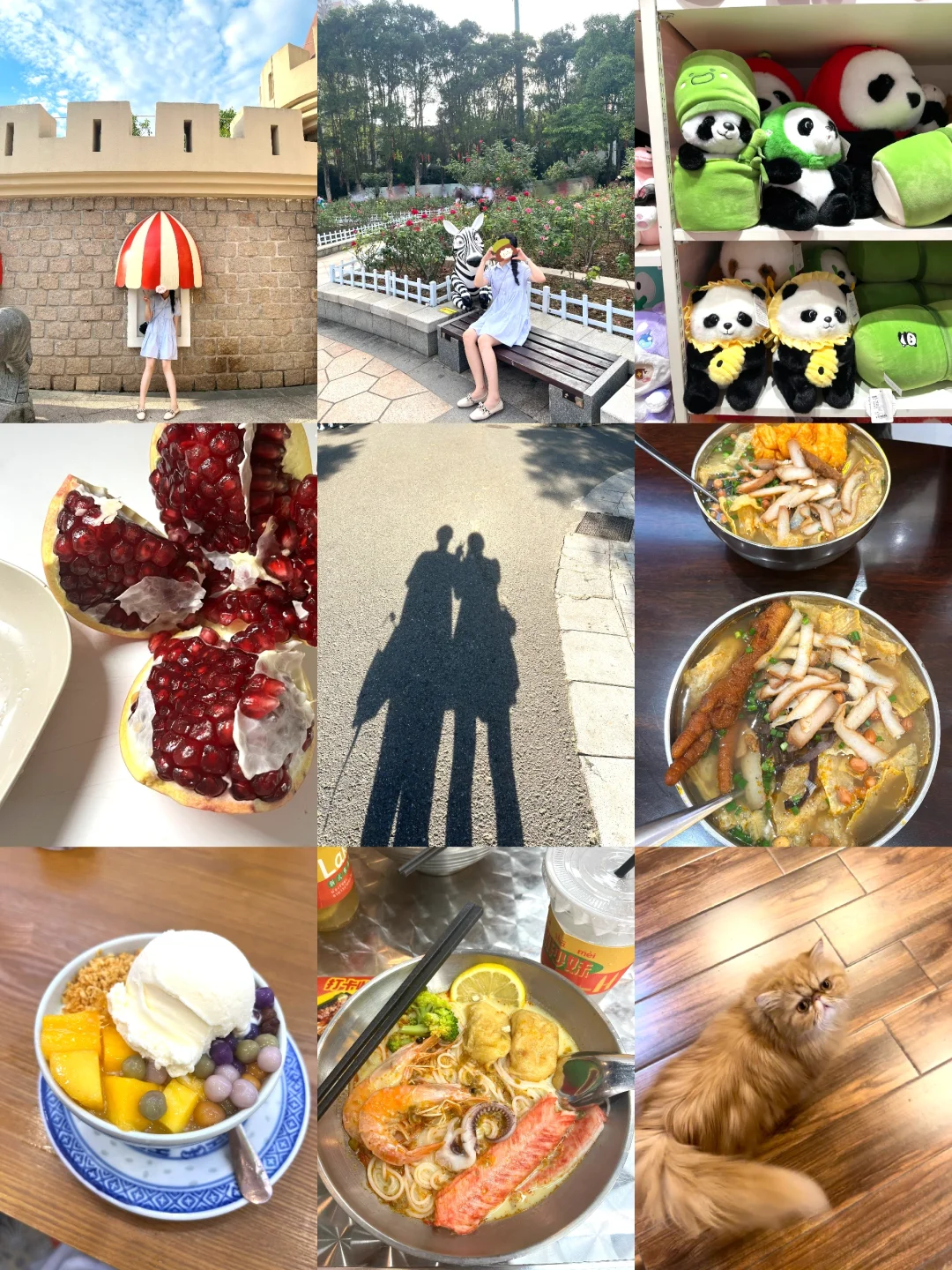 一些生活碎片🧩