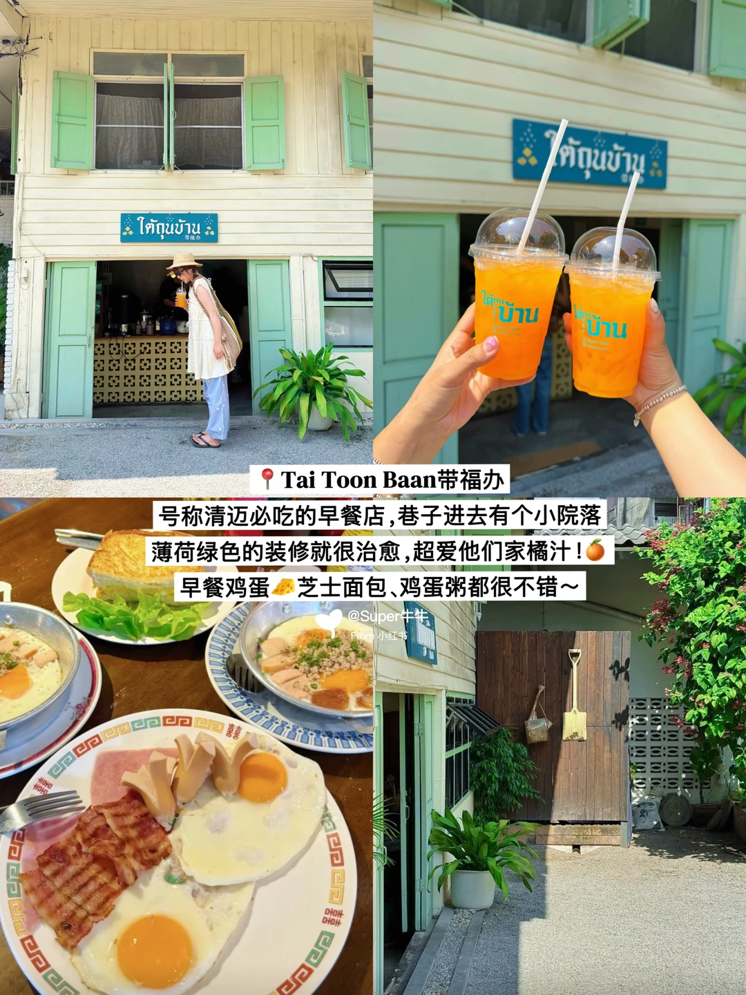 清迈🇹🇭一定要逛的18家漂亮小店！！（附合集