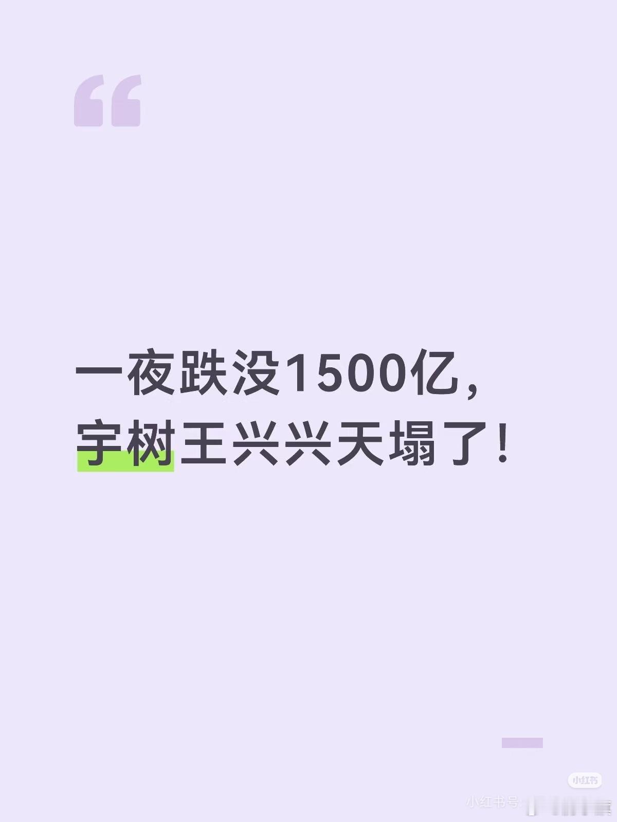 一夜跌没1500亿，宇树王兴兴天塌了！
今年最刺激新股非宇树科技莫属，人形机器人第一股彻底上演资本大起大落！
 
上市首日8.19：发行价150.8元，开盘直接冲到1100元，市值峰值4449亿，中一签500股最高浮盈47万，刷新注册制新股盈利纪录；收盘回落至845元，市值3418亿
​
 
上市次日8.20：单日大跌18.7% ​