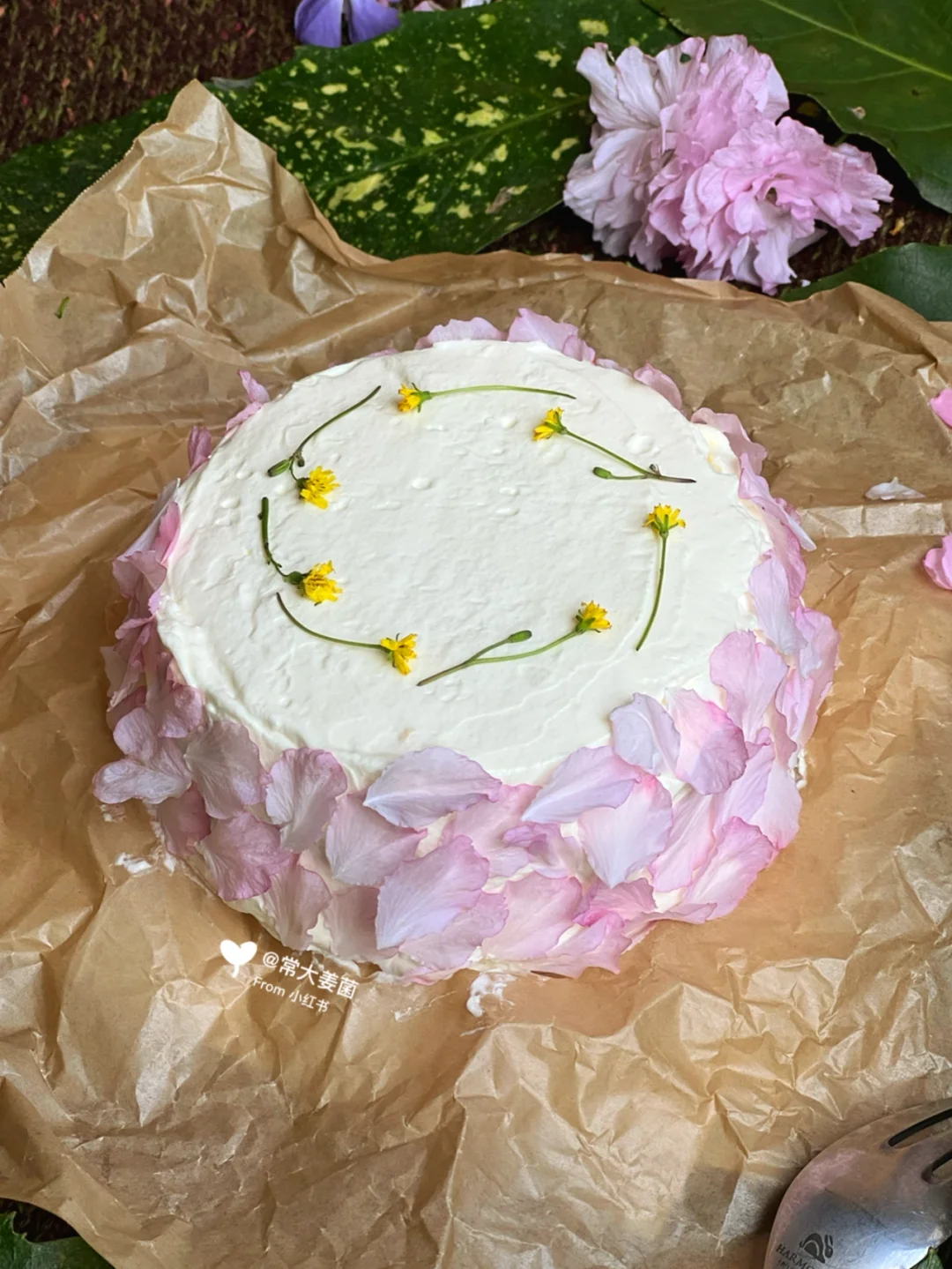 🌸蜂蜜橙香巴斯克鲜花蛋糕🍯