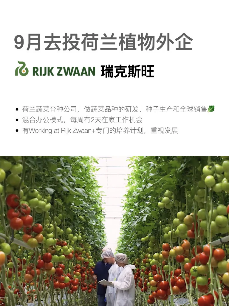 9月值得投的荷兰植物外企，女生友好