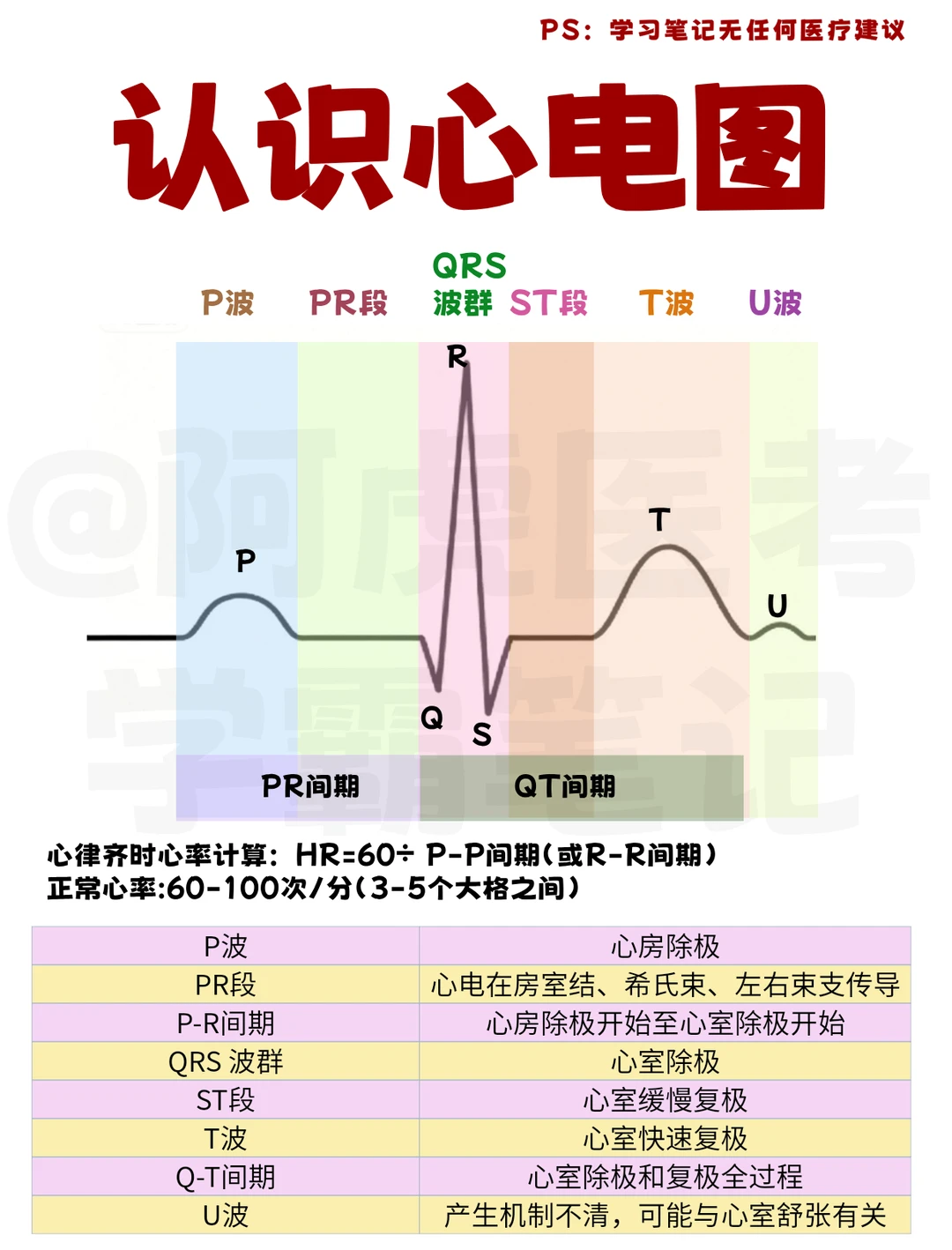 ✍阿虎医考医学生笔记｜认识心电图