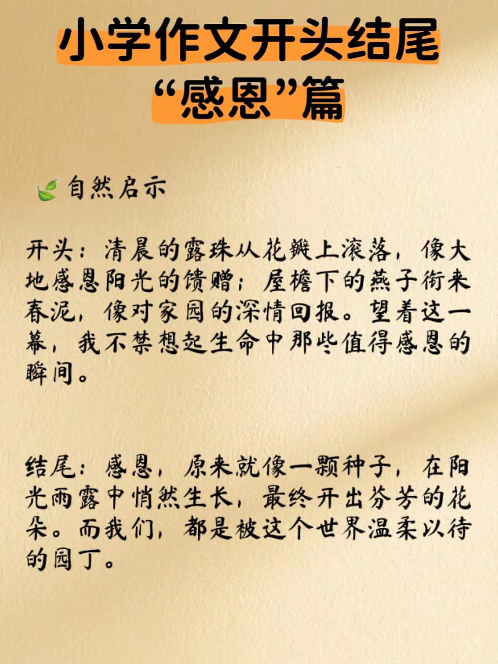 小学作文万能开头结尾——感恩篇 素材积累
