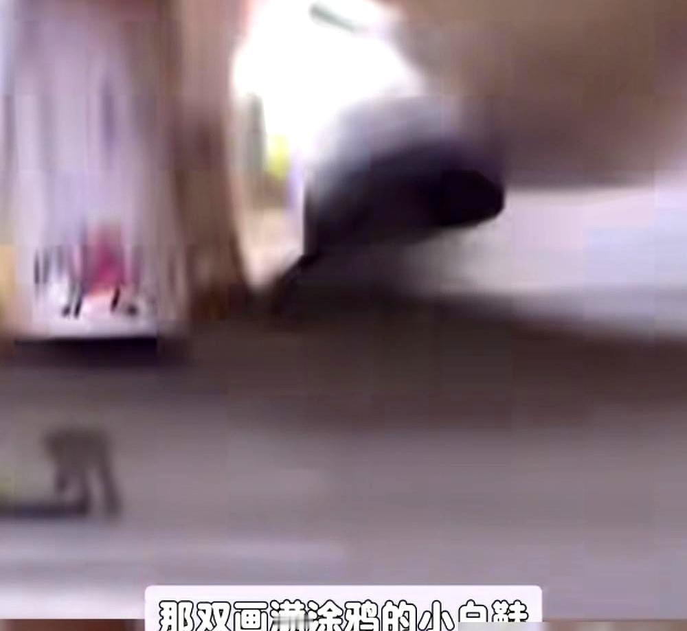 十几年前她把钻石项链编进头发里，脚上还戴着趾戒，媒体骂她离经叛道。没人这么干过。
大S偏不。红毯上别人比谁的礼服贵，她比谁的胆子大。头发丝里缠着真钻，走路时脚趾上的戒指若隐若现，镜头追着拍，她连笑都懒得配合。
当时时尚圈说她“乱来”，说她不懂规矩。结果呢？十几年过去，这些造型被翻出来重新封神，成