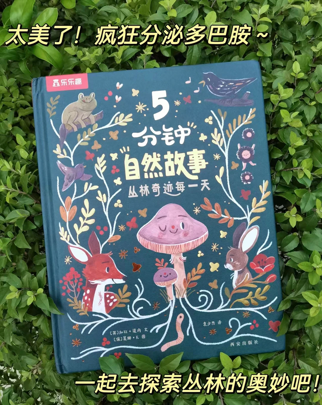 科普绘本‖走进大自然，感受生命力的顽强