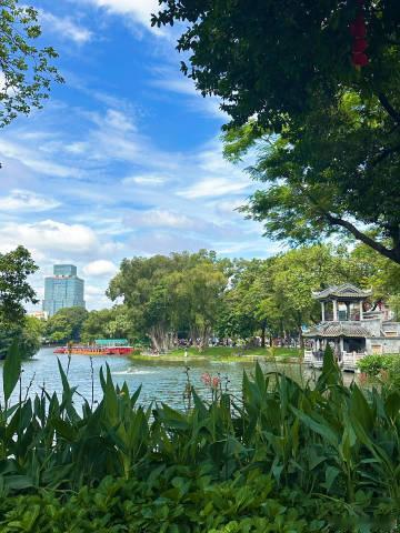 🪷荔湾湖公园的荷花开了。<br /><br />🌞广州今天的天气真...