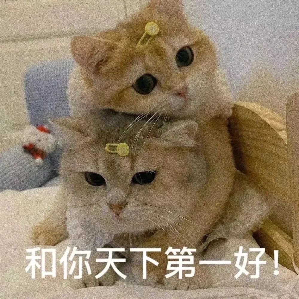 该收集表情包了~