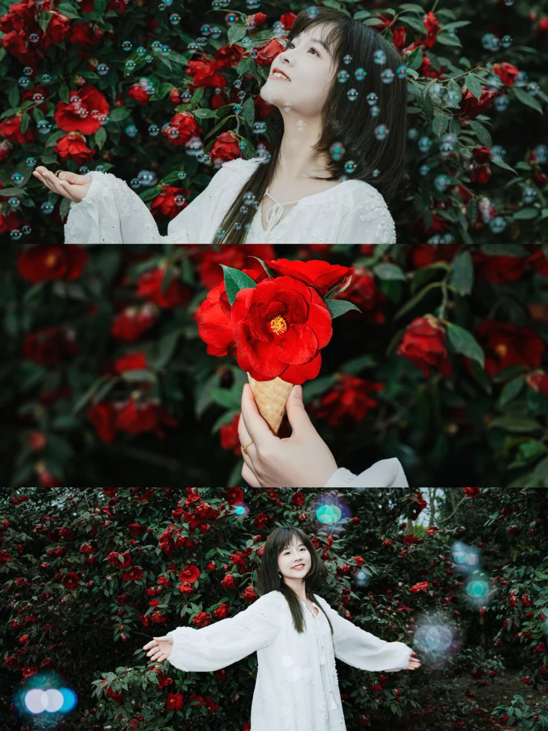 成都山茶花｜4.4号实拍，美到窒息❗