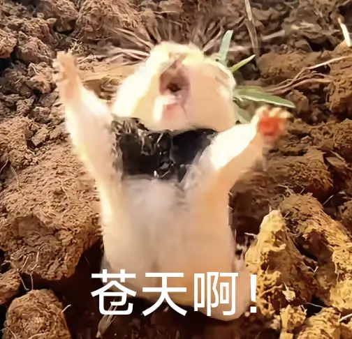暴雨中的福建这一幕幕令人动容怒问苍天何所为