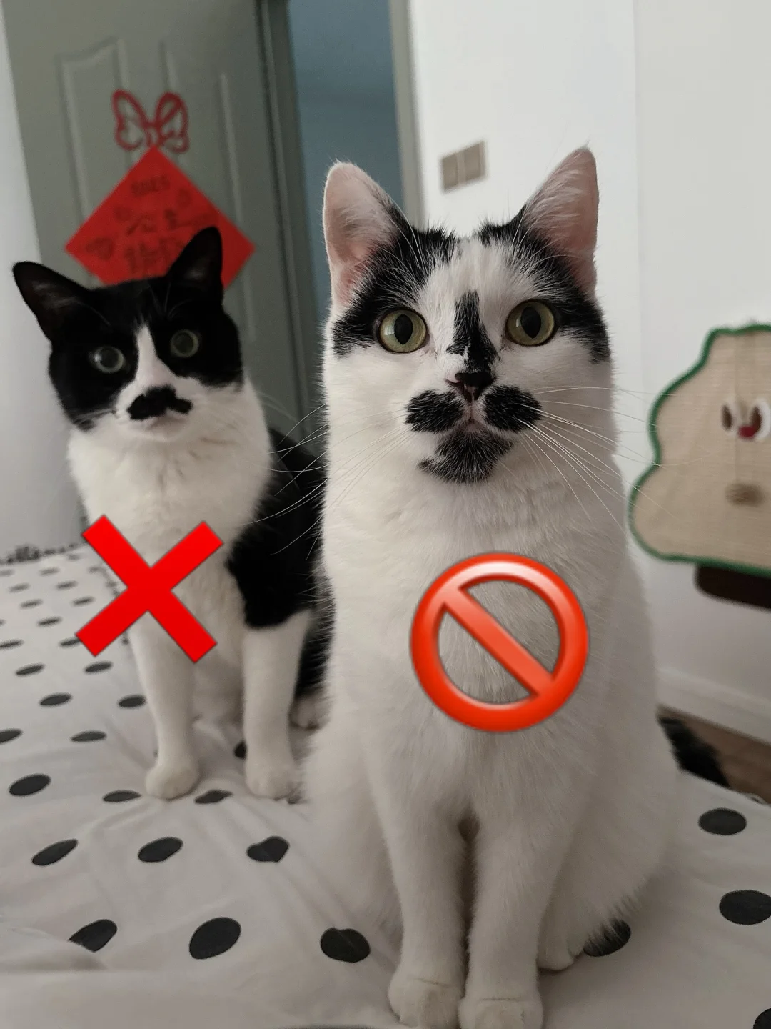 长这样不能当模特