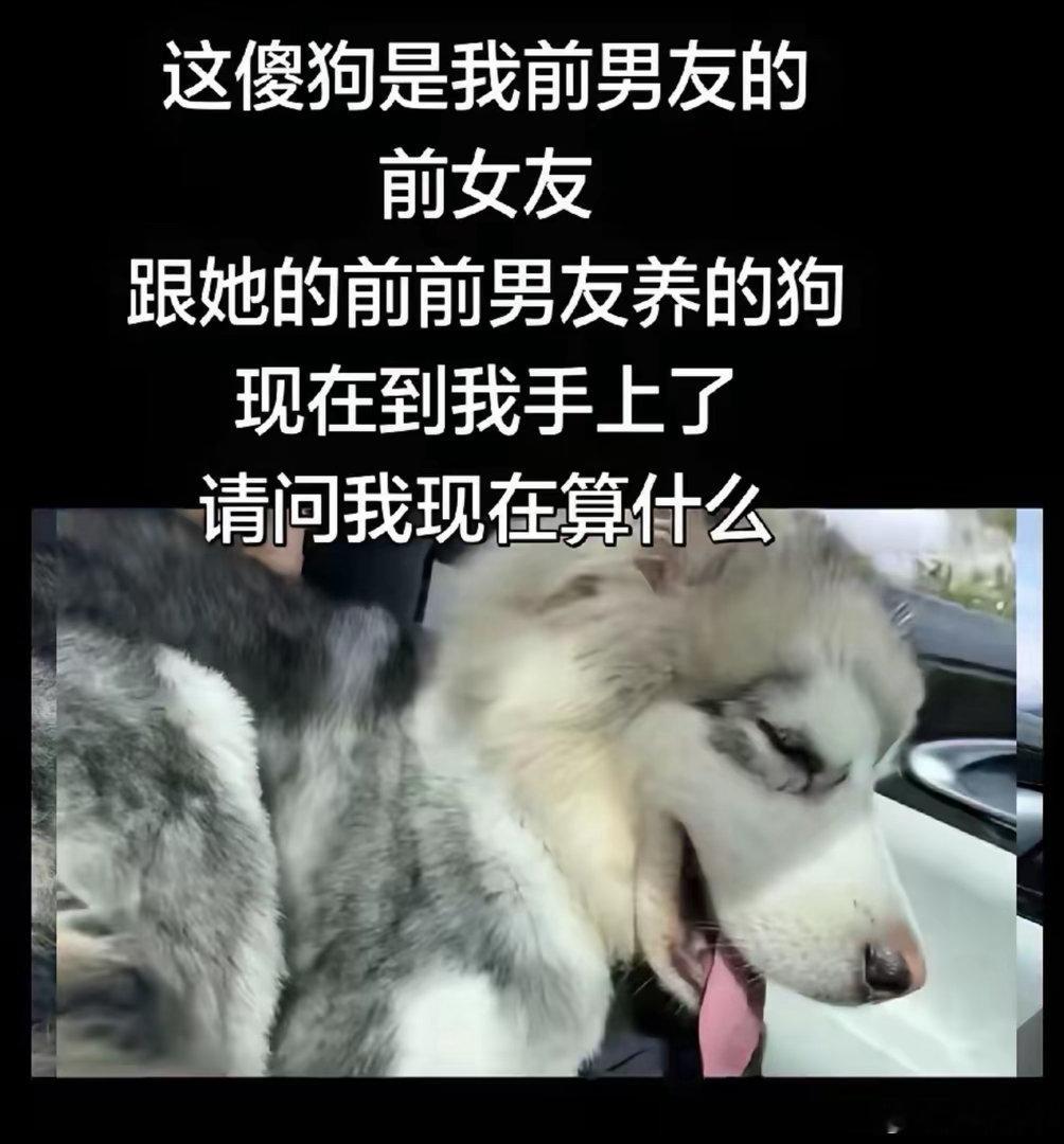 周淑怡养贾乃亮的狗 ​