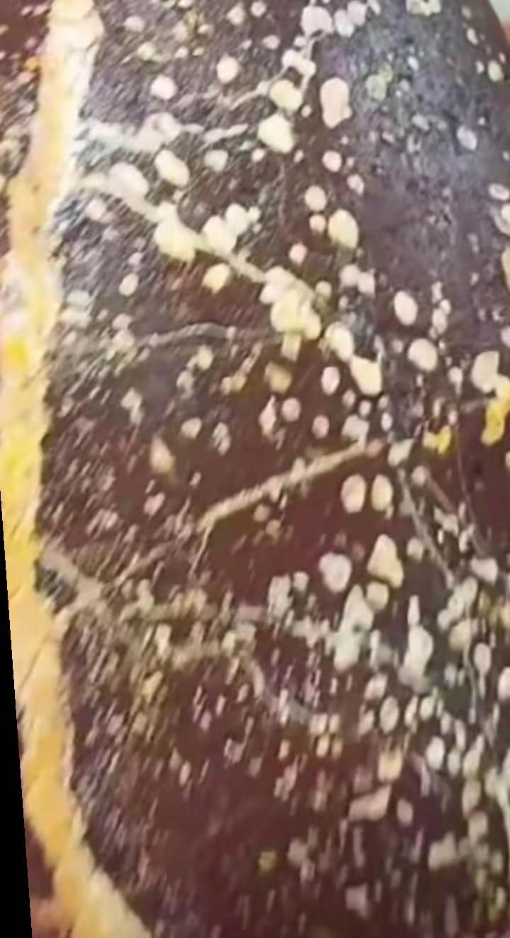 <p>清纯美女 <!--{img:0}--></p><img src=...