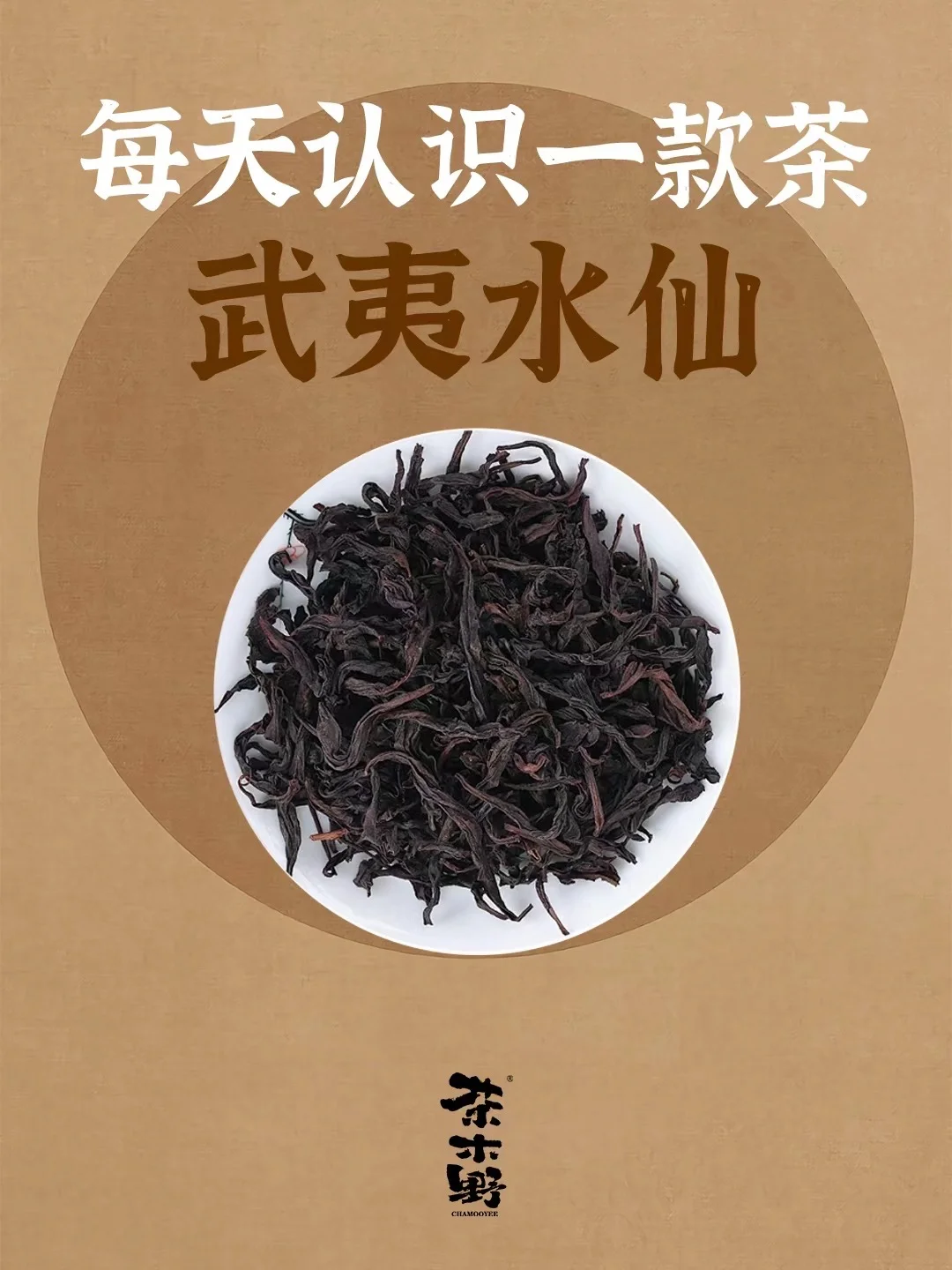 知识分享丨一分钟了解武夷水仙