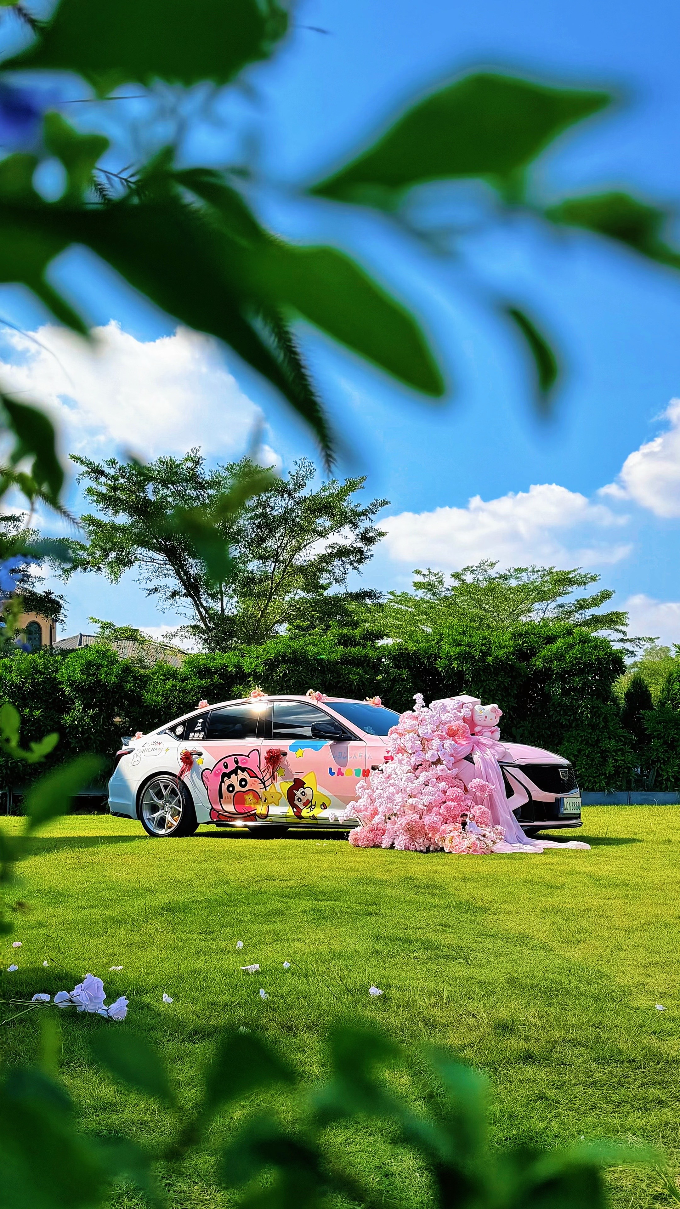 全网最漂亮浪漫的美国女孩花海汽车 凯迪拉克 凯迪拉克ct5 dou上热门 @DOU+小助手
