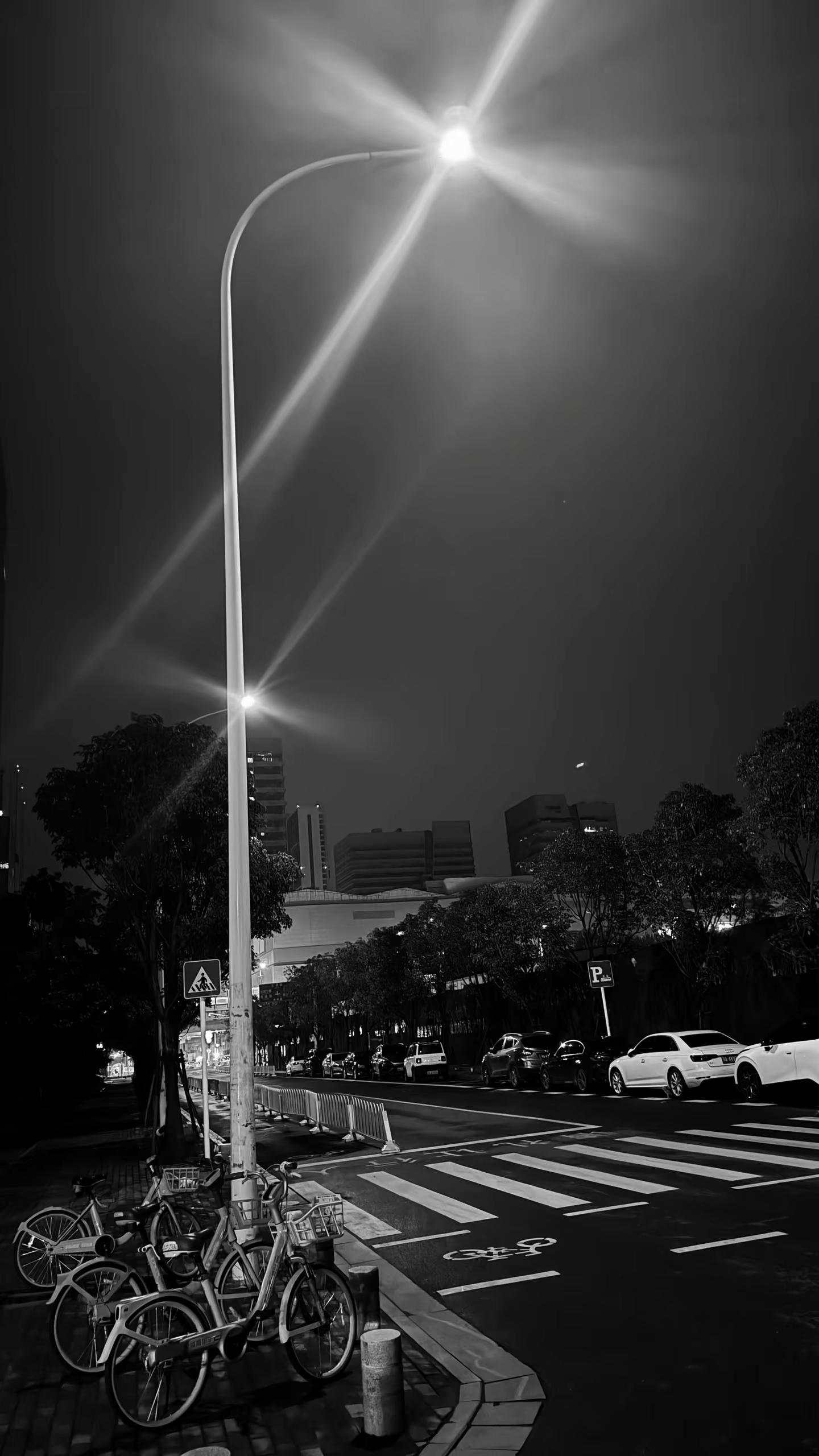 你若不肯说，我就不问
