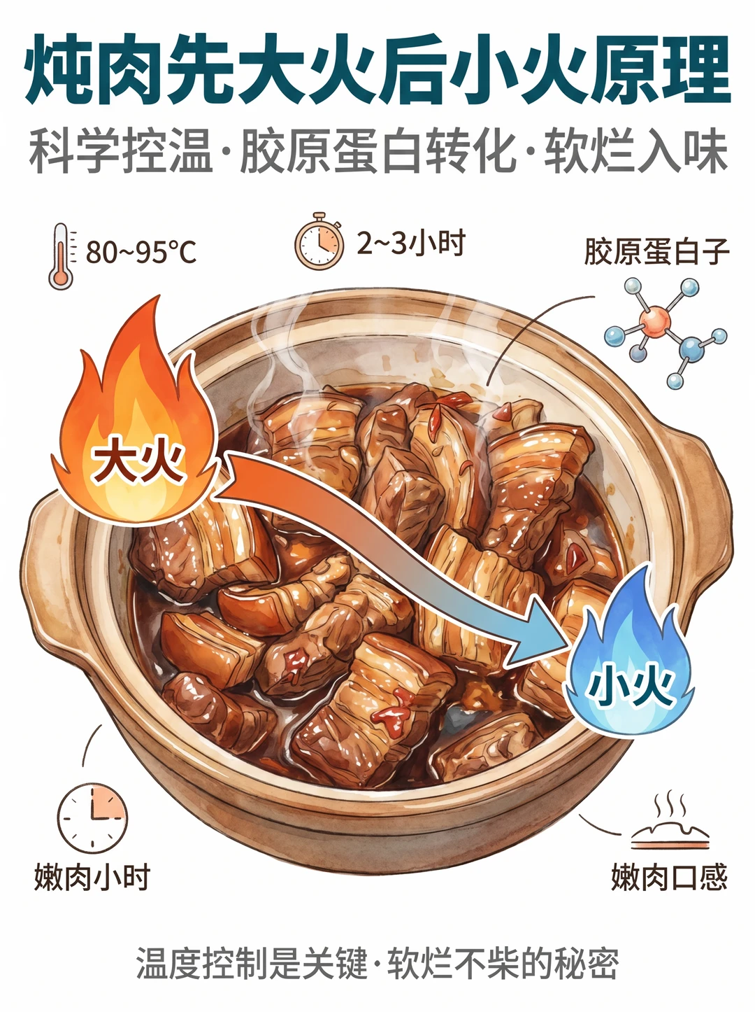 炖肉总发柴？🔥先大火后小火才是秘诀