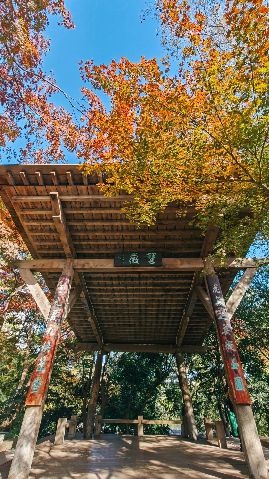 常州琉璃光院📍用全屏打开红梅公园的秋天