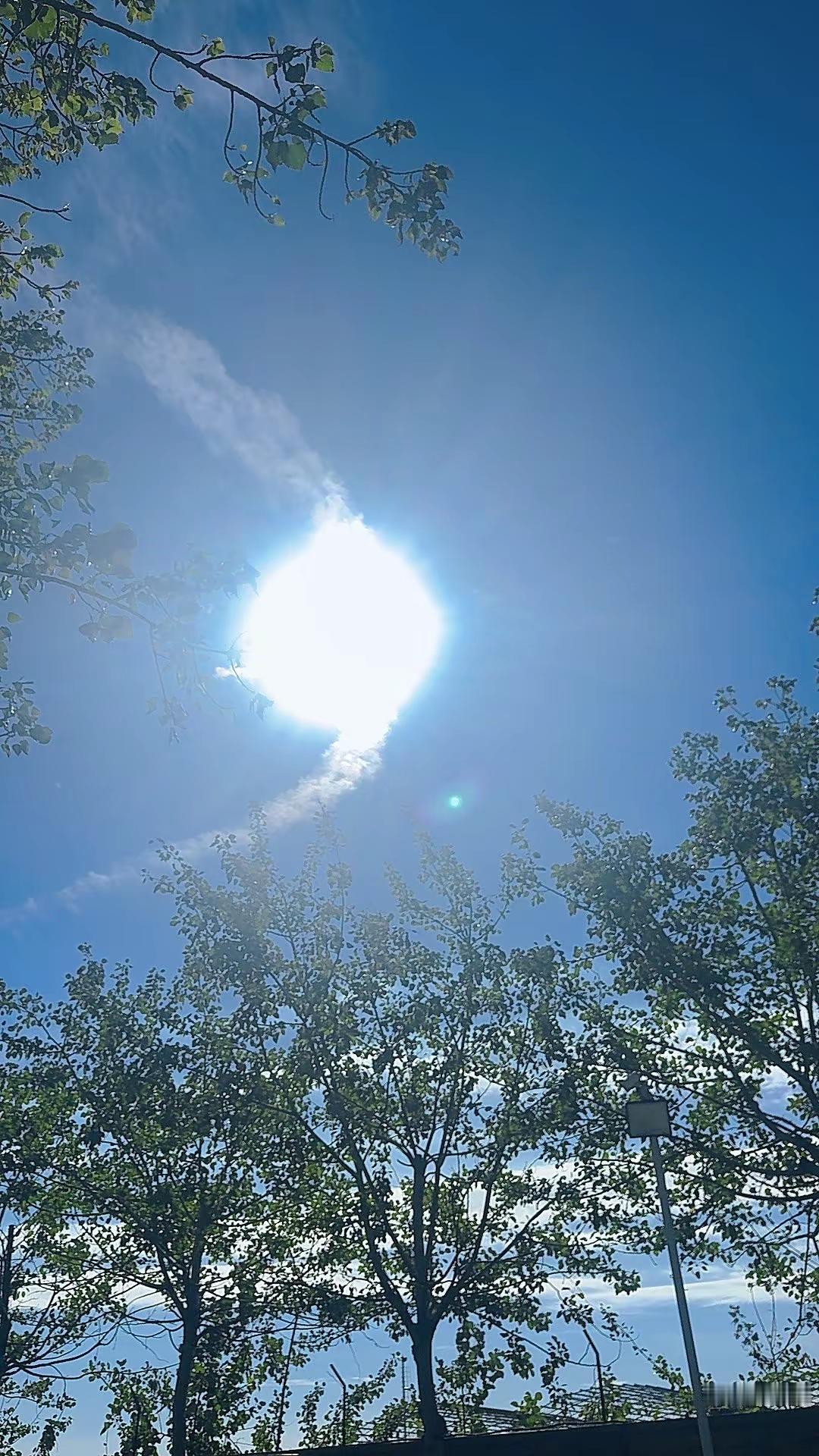 又到了听《枫》的季节