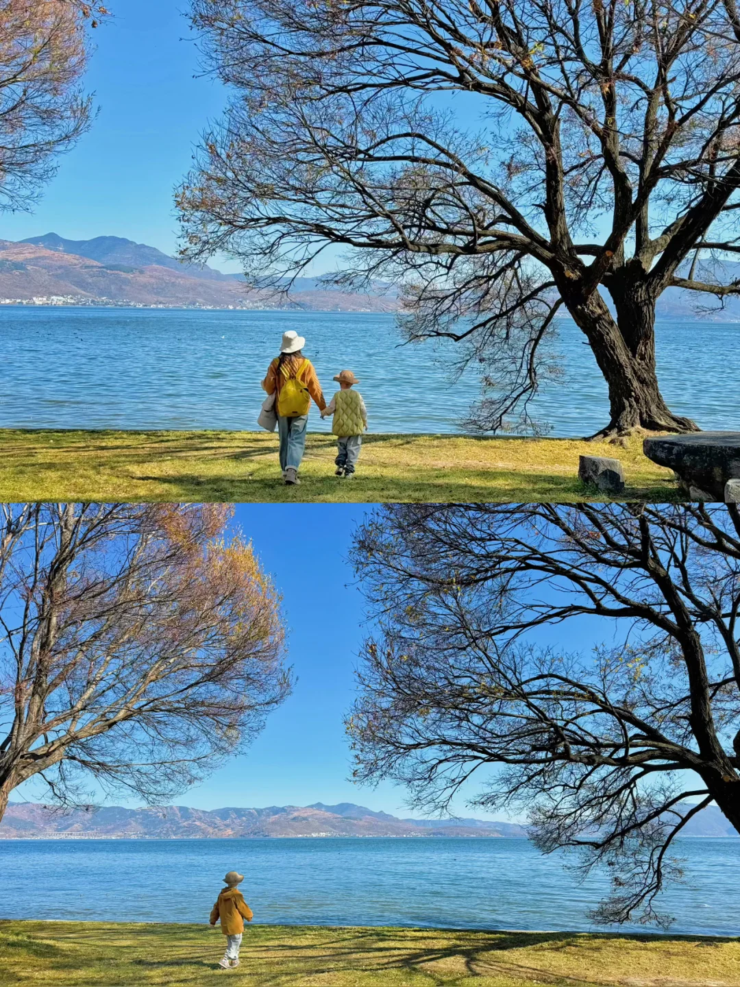 去大理之前❗️有人告诉我这些就好了😭。。