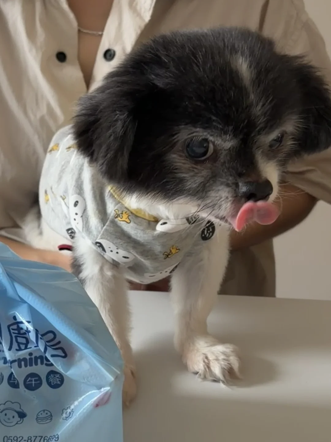 我来教你怎么吃饭😲