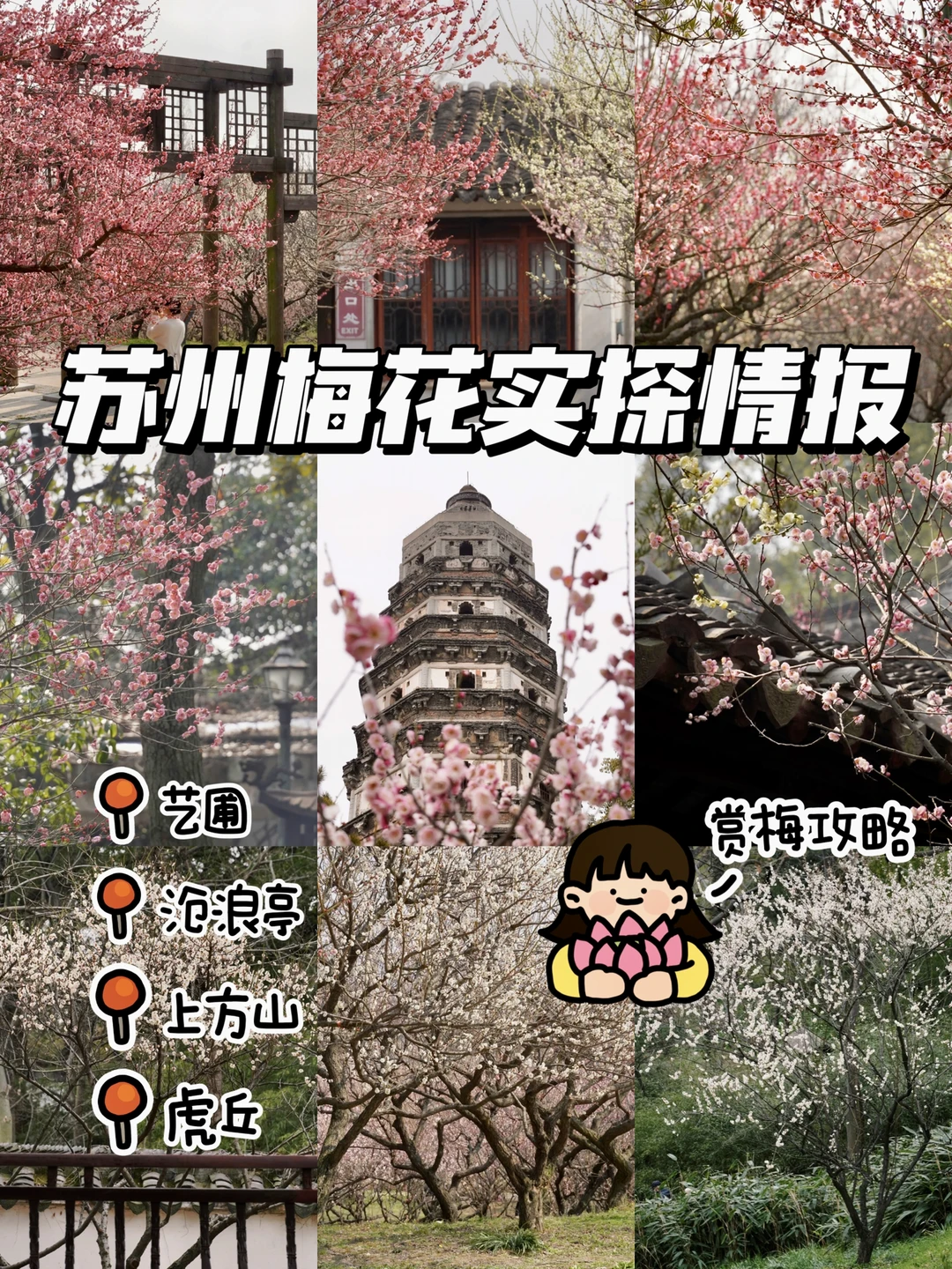 2023苏州梅花实探‼️最新赏梅地图请查收🗺️