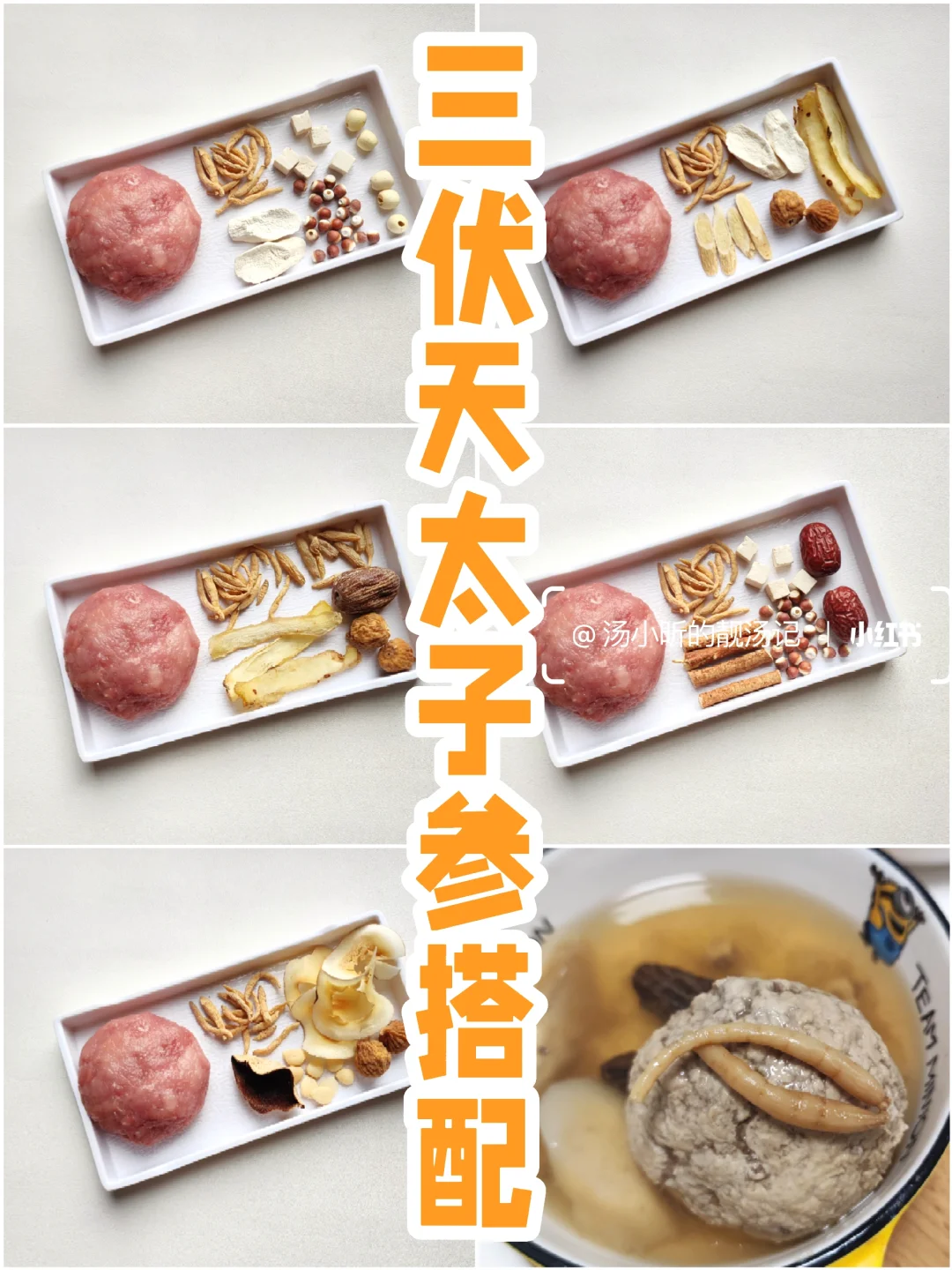 三伏天太子参搭配|家有饭渣宝宝不要错过