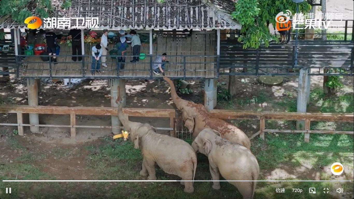《中餐厅10》如果不对比第二季和第三季的话，感觉也是个中规中矩的综艺，虽然最初农家乐的畅享没有实现，具有综艺感的瞿颖只是飞行。但是真的很难不想起以前，这一季天天的画面都在备菜，到底在吃什么山珍海味啊！第二季没有厨师我觉得也很好，家常小菜客人也没有不喜欢，而且我到现在还记得第二季有个 ​