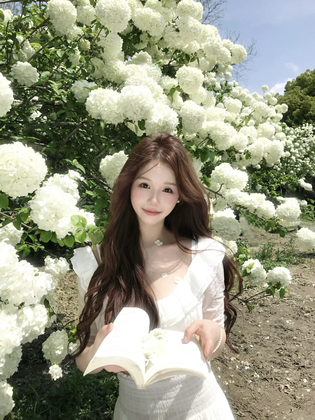 𝐻𝓎𝒹𝓇𝒶𝓃𝑔𝑒𝒶 𓇬₊˚ . 🐇ɞ°