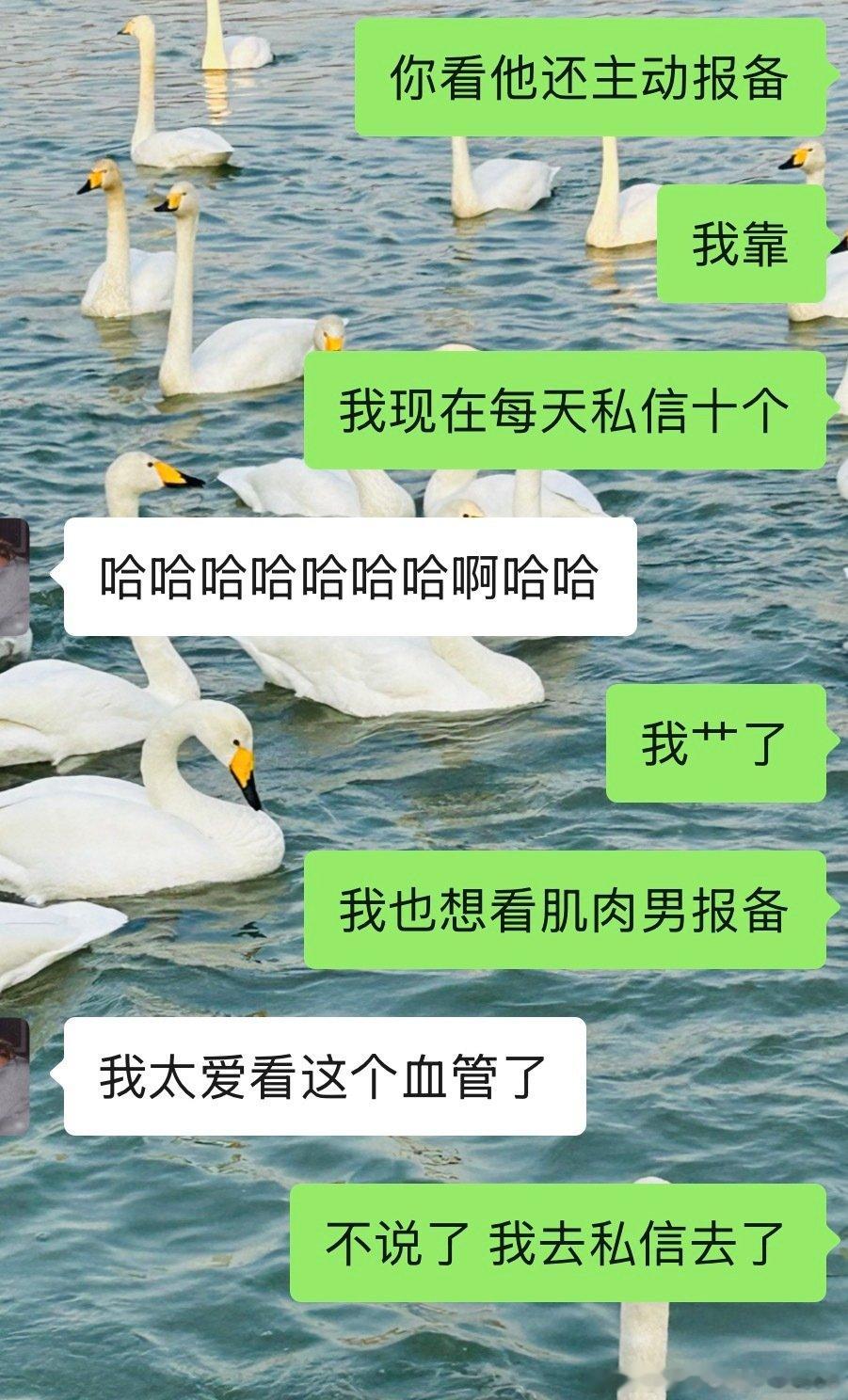 不怕姐妹苦，就怕姐妹开路虎。
不说了，我他妈一天私信20个！
[泪奔][泪奔][泪奔][泪奔][泪奔][泪奔][泪奔][泪奔][泪奔][泪奔][泪奔] ​