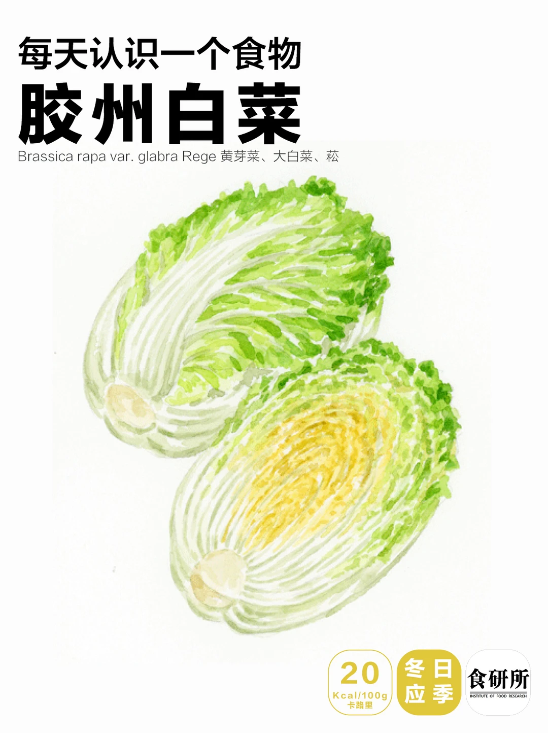 如果只能推荐一道青岛菜【大虾烧白菜】