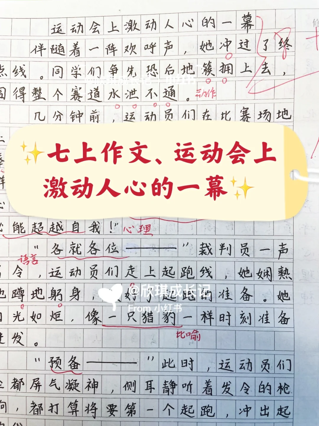 七上作文，运动会上激动人心的一幕