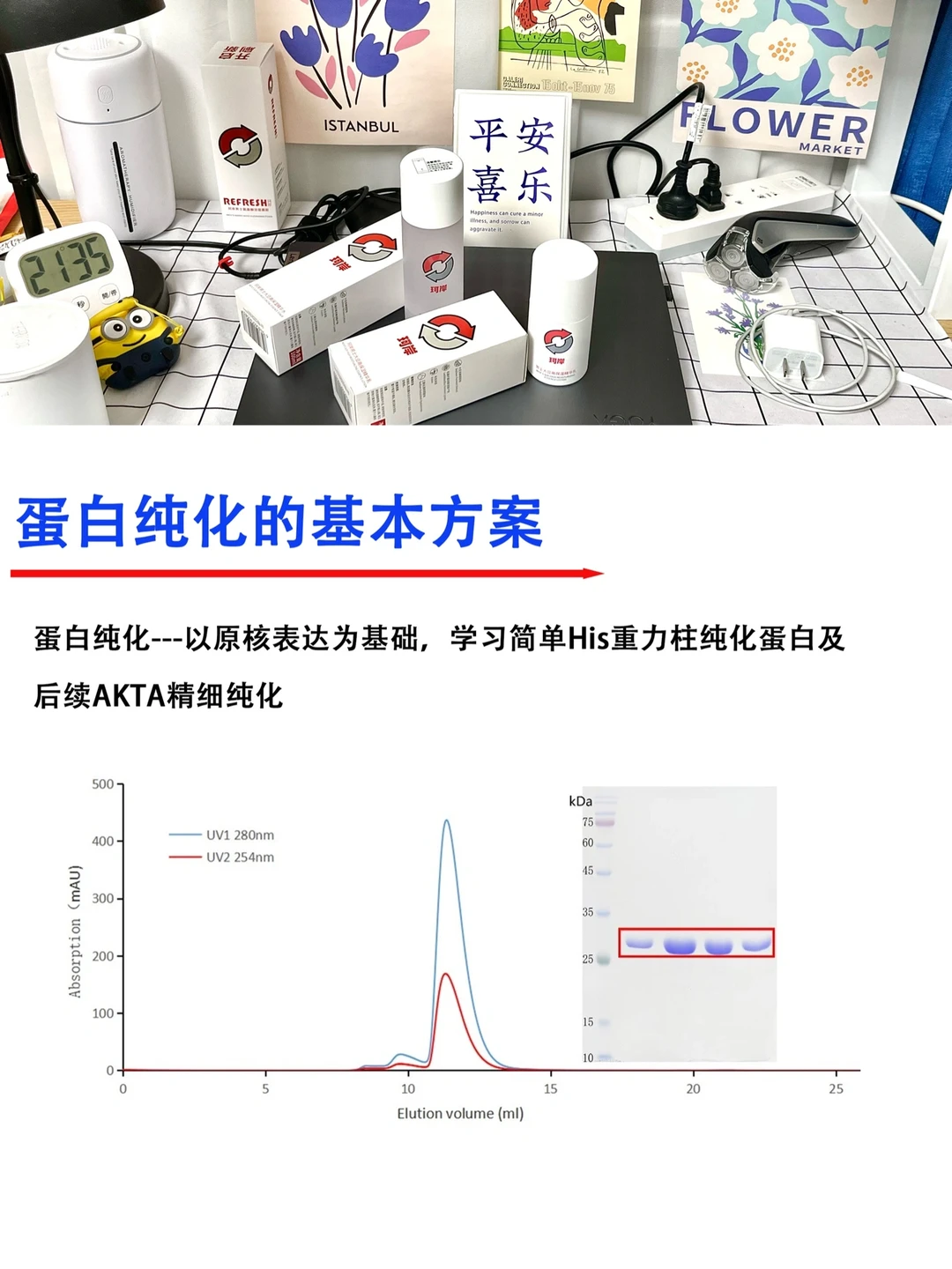 🔥科研小白如何做原核表达蛋白纯化｜精纯篇