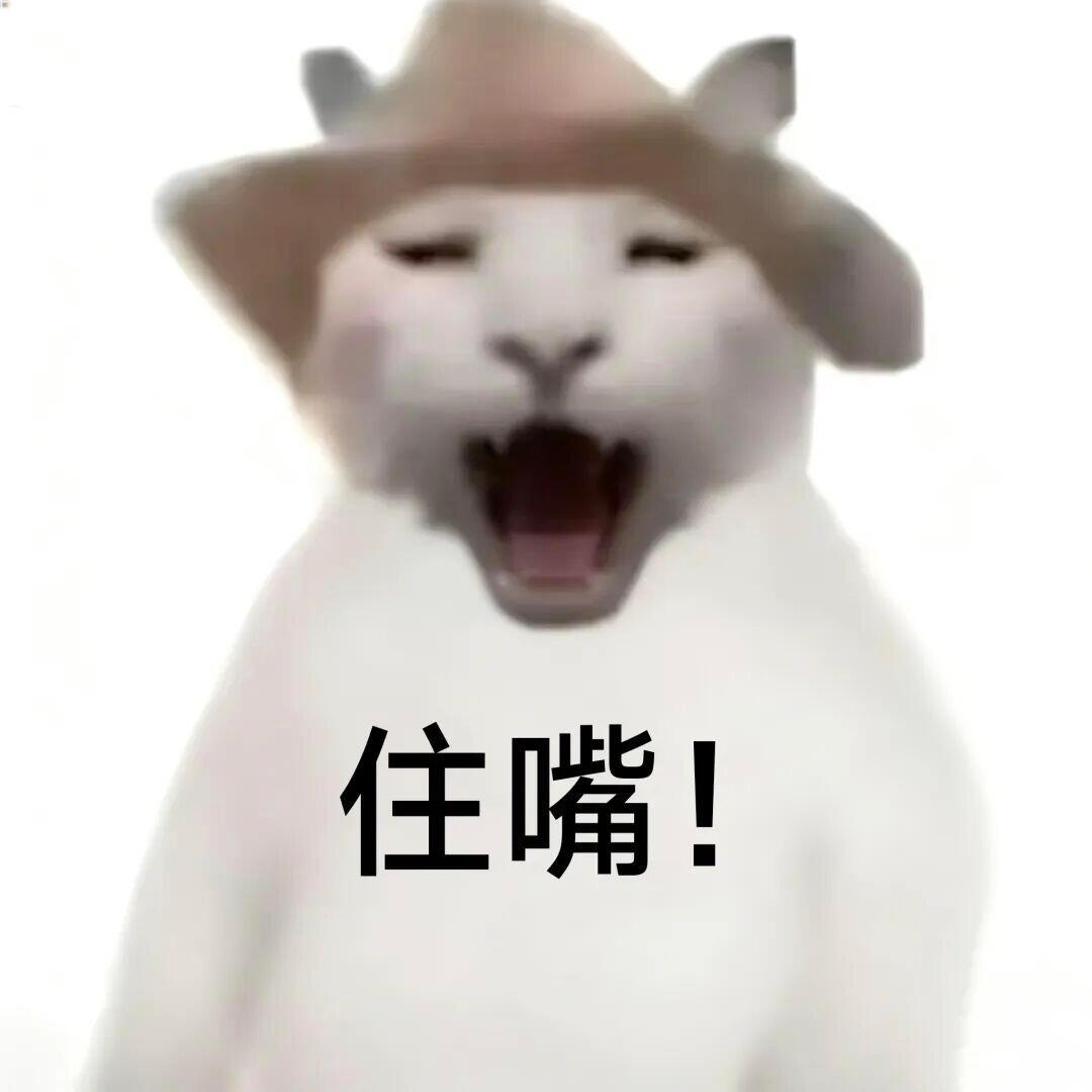 干嘛猫爱你老己表情包