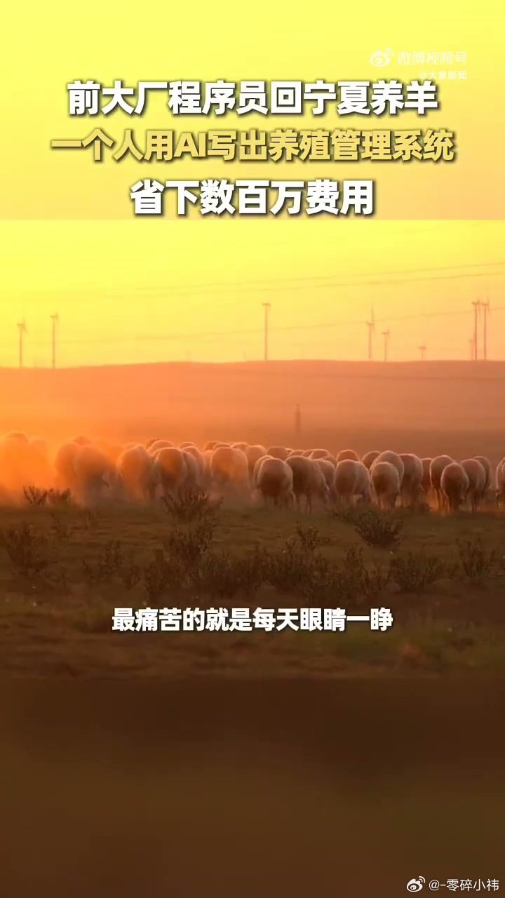 #大厂程序员辞职在宁夏用AI养羊#年度最励志跨界没有之一！放弃城市高薪赛道返乡创业，还用新技术盘活传统产业，格局和执行力直接拉满 ​