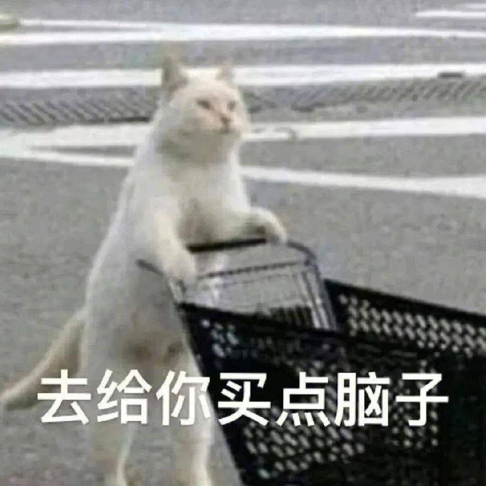 近期爱用的表情包