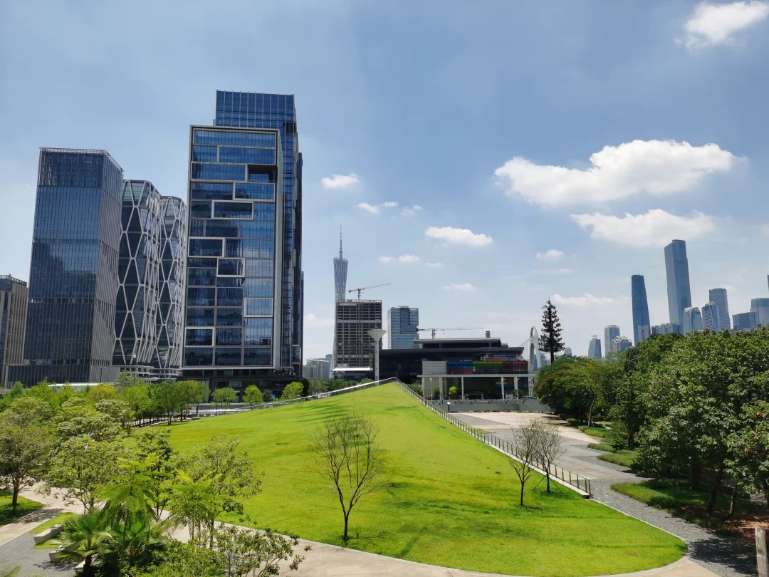 热辣滚烫大草地