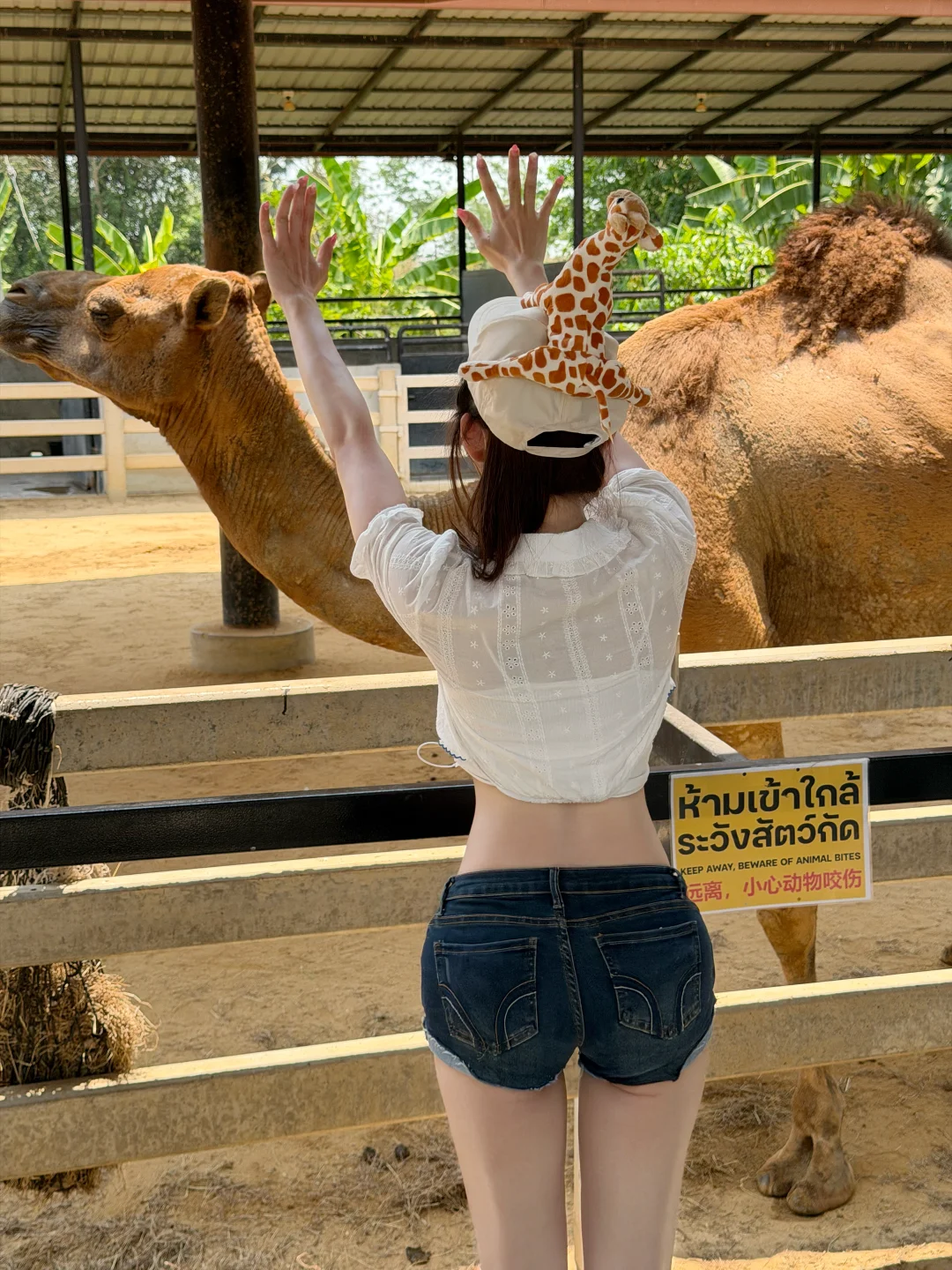 自由度满分的动物园🐾