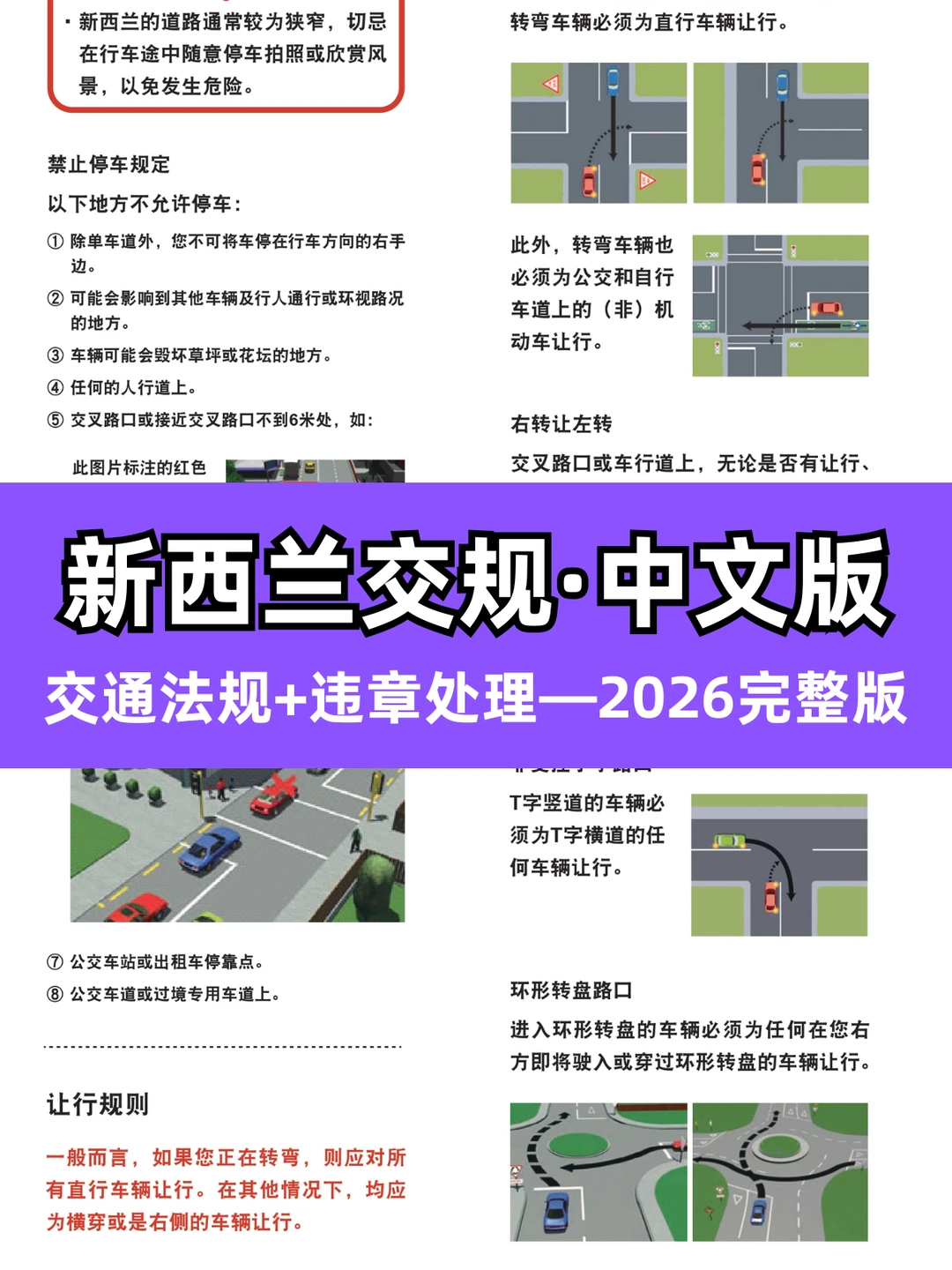 第1次新西兰自驾游❗❗交规+加油+停车攻略