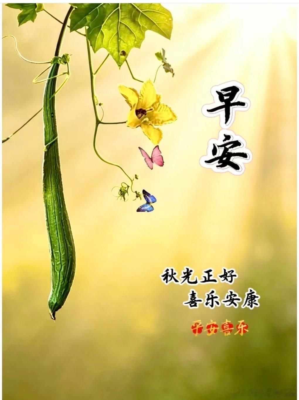 近日，一名女子通过壹米滴答寄快递时，因化妆包内不慎夹带50ml防晒喷雾，竟被快递员要求缴纳800元罚款，而快递公司客服回应称网点无权对顾客罚款，引发广泛争议。  一、事件经过与争议焦点- 事件起因：9